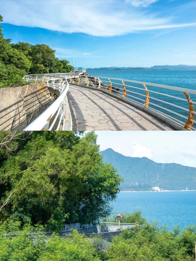 360度海景｜深圳睇海綠道最全徒步攻略