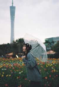 屬於我同廣州嘅菲林回憶