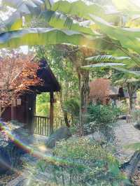 🌳住進童話中的樹屋 | 森吧客莊園獨棟樹屋·花間舍