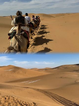 Captured the best photos of my life in the Kubuqi Desert with travel tips