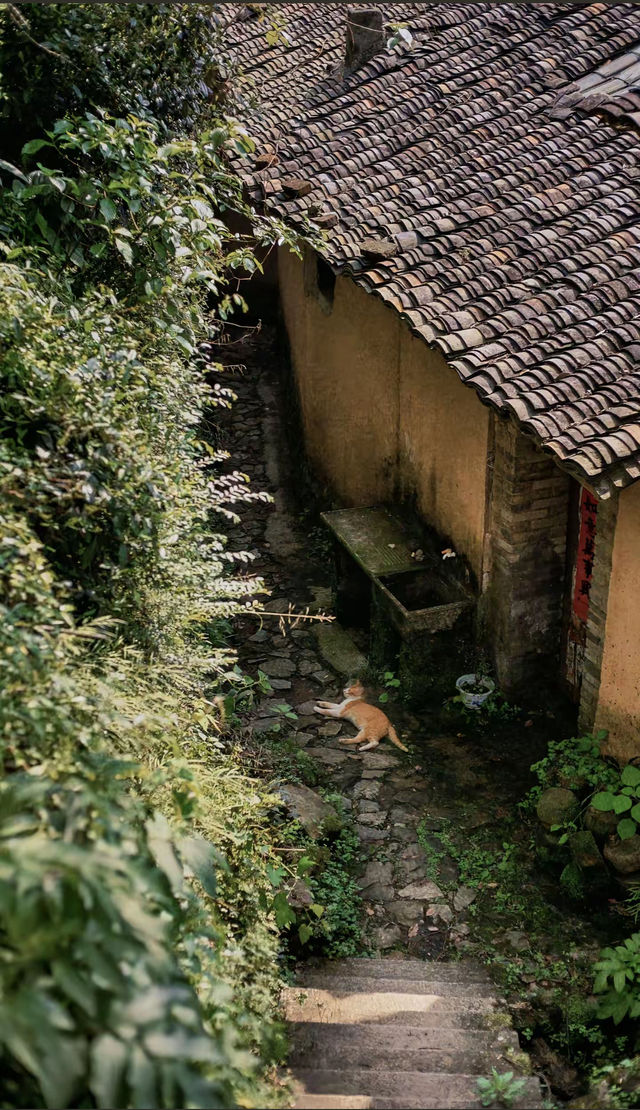 江南最後嘅秘境