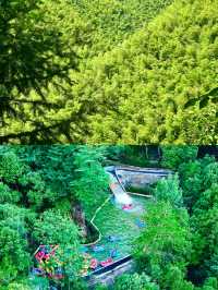 連續3年去莫干山，10條親子遊不踩雷建議