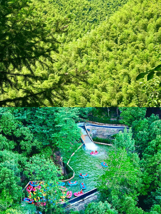 連續3年去莫干山，10條親子遊不踩雷建議