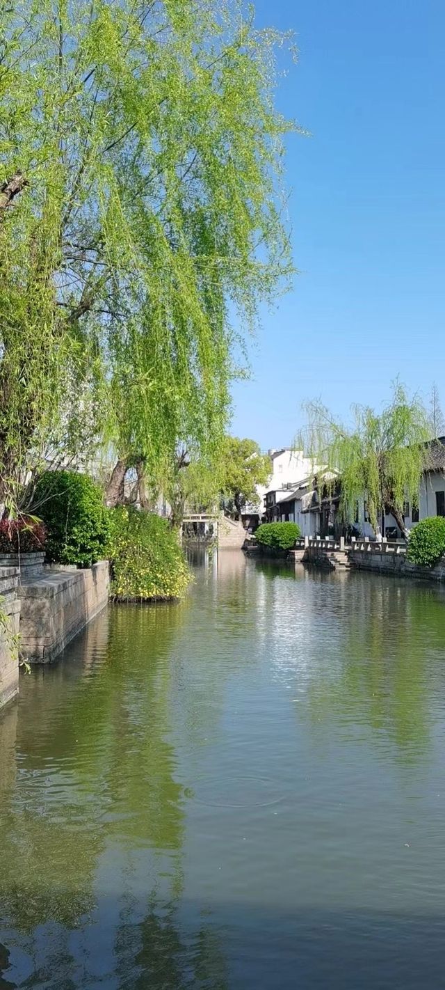 蘇州5A級風景區周莊古鎮嘅角落，你一句春不晚我就真係落咗江南