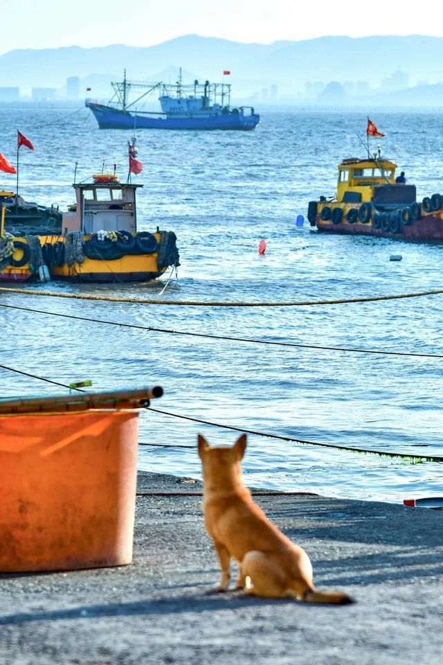 懸崖上的彩色漁村！2日1夜海島遊