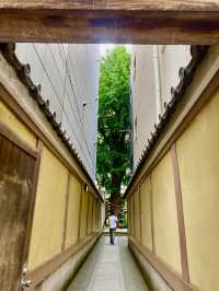 Kyoto’s Charm: Where Culture, Nature, and History Collide