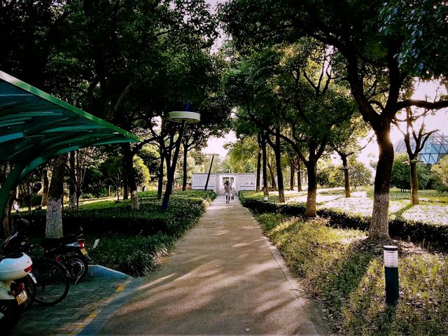 Exploring Yiwu’s Best Jogging Trails: A Runner’s Paradise