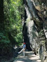 仙峰山絕美徒步路線