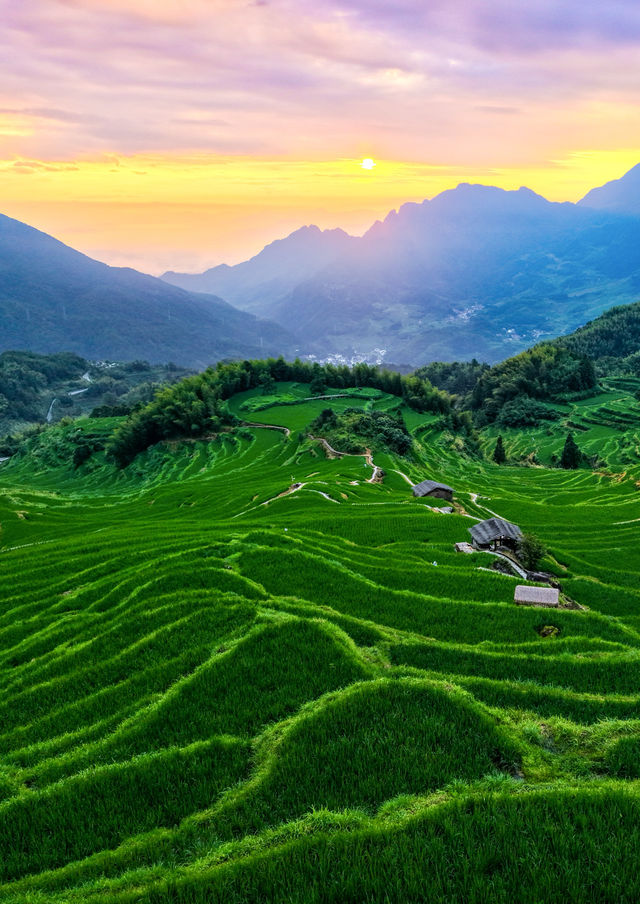 發個朋友圈問瘋啦，不在貴州，在浙江