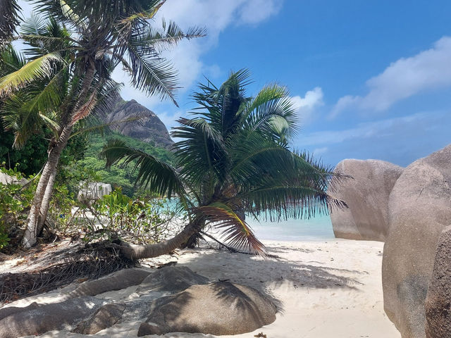 Visit La Digue's Stunning Beach
