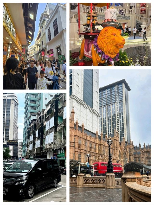 澳门避赌攻略全揭秘✨