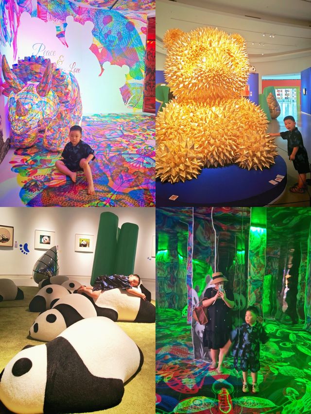 長沙新展誰能拒絕可可愛愛大熊貓 長沙新展誰能拒絕可可愛愛大熊貓