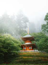 A hidden serene heaven moments from Osaka