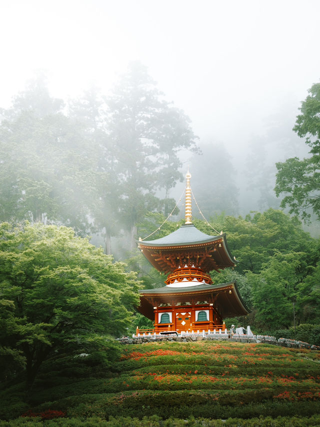 A hidden serene heaven moments from Osaka