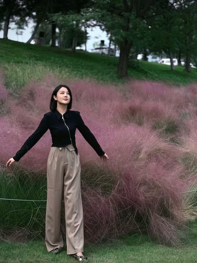 南京粉黛花海觀賞指南粉色仙境打卡攻略 南京粉黛花海觀賞指南粉色仙境打卡攻略