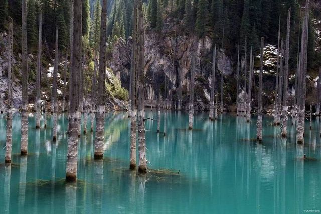 漫步哈薩克斯坦｜被這片絕美森林湖泊治癒了