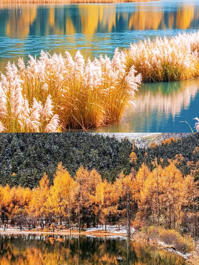 秋天的九寨溝不愧是5A景區的天花板！