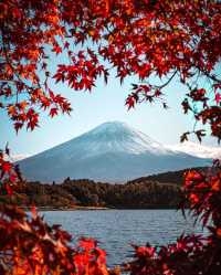 2025年日本超強紅葉攻略