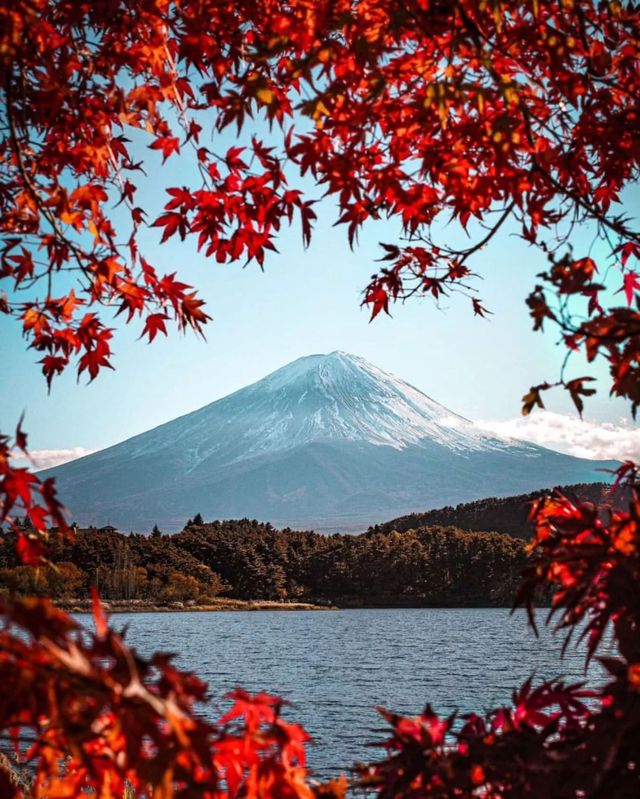 2025年日本超強紅葉攻略