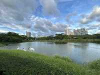 🌿 福田紅樹林生態公園｜城市裡的自然保護園區！
