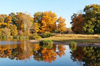Inner Mongolia's Hidden Autumn Colors Revealed: Free Entry, Self-Drive Secret Paradise!