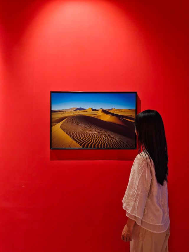 深圳看展 |BBC Earth極地生靈展 深圳看展 |BBC Earth極地生靈展