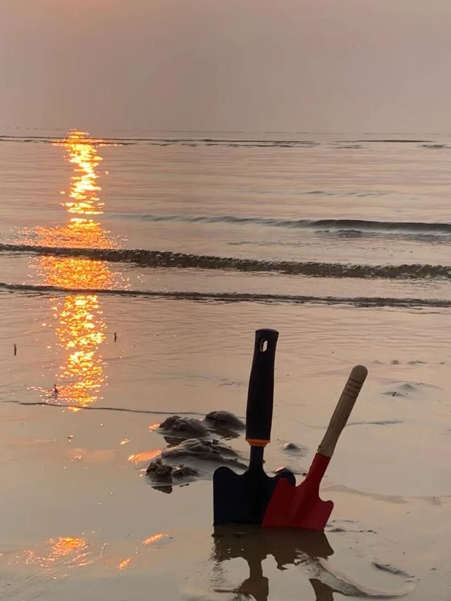 看海追日落的完美路線分享|舟山桃花島3天2晚治癒攻略