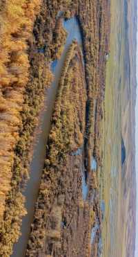 最美秋色——大興安嶺