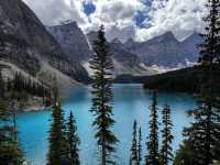 加拿大雙湖一日遊｜路易斯湖划船+偶遇小熊！小費&觀熊攻略都在