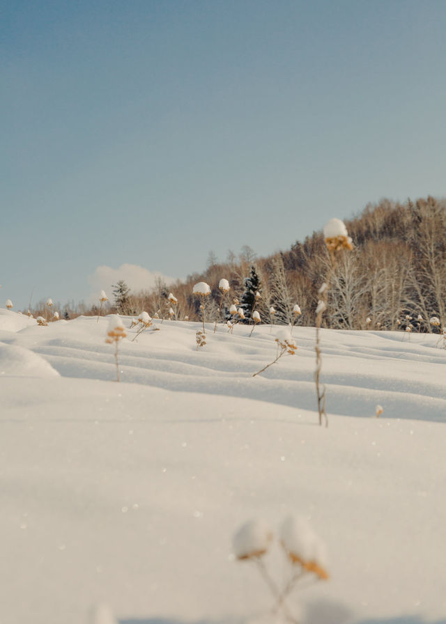 烏魯木齊往返6-8天冰雪秘境指南