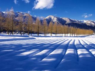 Private Car One-Day Tour: Hakodateyama Skiing and Makino Highland Hot Springs