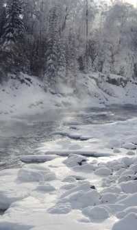 阿勒泰冬日童話滑雪雪蘑菇絕美機位攻略