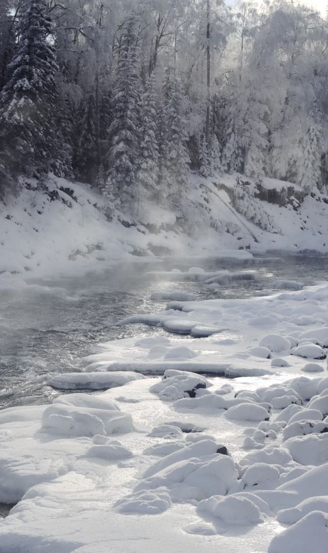阿勒泰冬日童話滑雪雪蘑菇絕美機位攻略