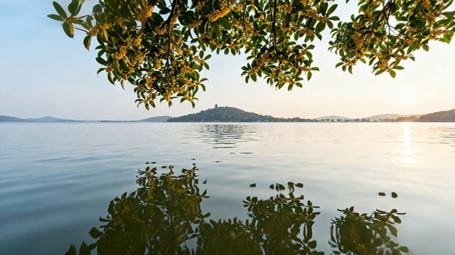 一座洛陽城，半部華夏史