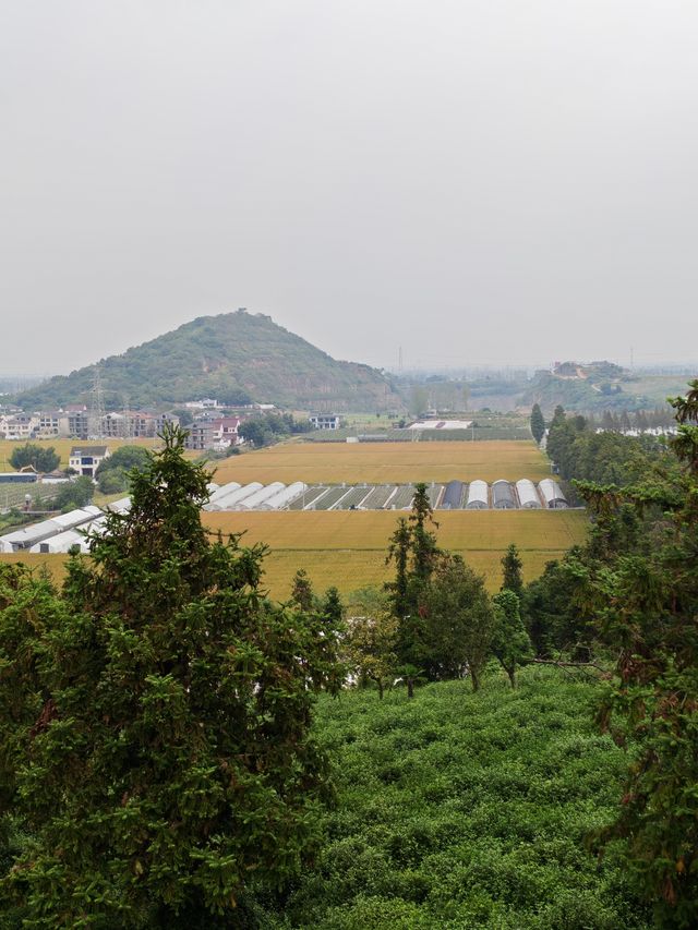 黃家山景，幽靜之中的自然詩篇。