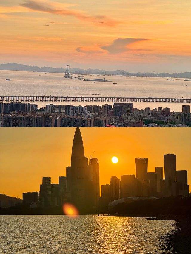 深圳0元寶藏玩法｜免費打卡山海、公園與文藝角落，拍照出片不重