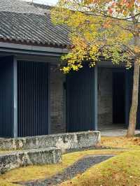 華舫庭院藏冬意,山城落葉伴清歡