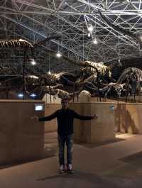 所謂「北有兵馬俑,南有恐龍谷」楚雄世界恐龍谷全攻略