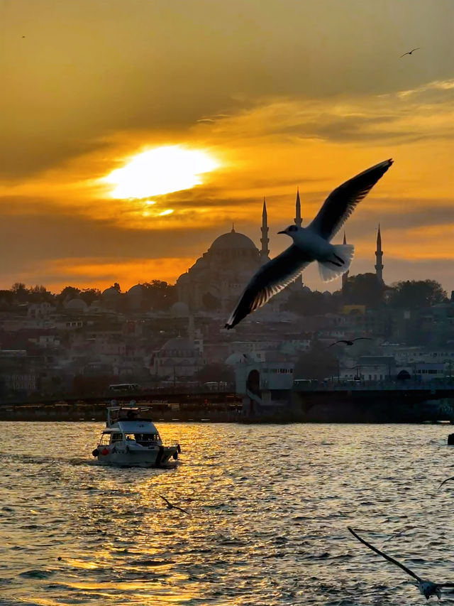 12元穿越歐亞！伊斯坦堡輪渡浪漫全攻略