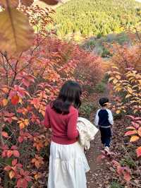 來密雲的紅花峪，這裡的景美得讓你震撼。