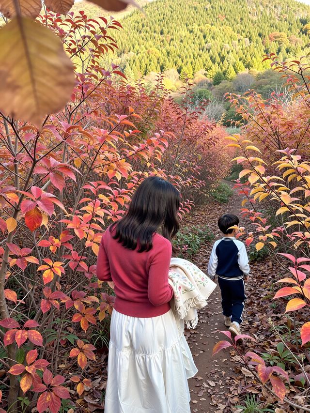 來密雲的紅花峪，這裡的景美得讓你震撼。