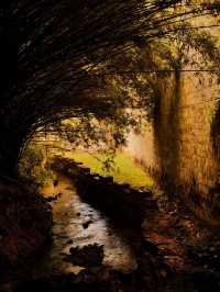 景德鎮剛回來,唯一沒踩雷超出預期的景點