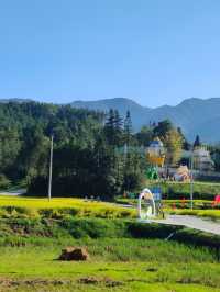 祁門蘆荔稻田遊玩攻略