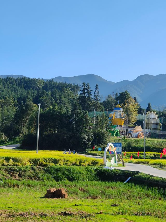 祁門蘆荔稻田遊玩攻略 祁門蘆荔稻田遊玩攻略