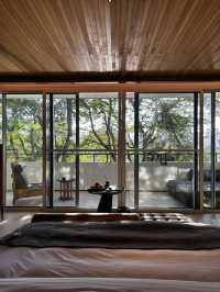 雨林野奢酒店指南