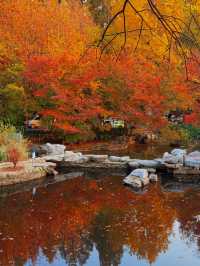 青島，藏匿著愜意的街景