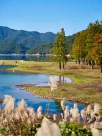上海3h直達!初冬闖入畫龍村,在浙東古道邂逅瀑布梯田與治癒