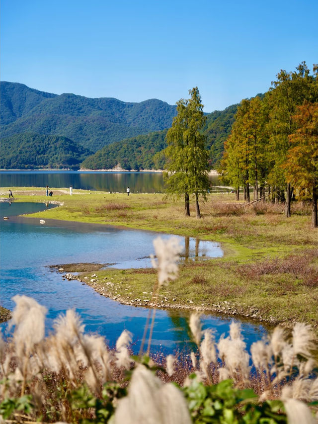 上海3h直達!初冬闖入畫龍村,在浙東古道邂逅瀑布梯田與治癒 上海3h直達!初冬闖入畫龍村,在浙東古道邂逅瀑布梯田與治癒