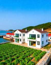 渡口村|寧靜而富有古韻的村落|藏在膠東的田園桃源