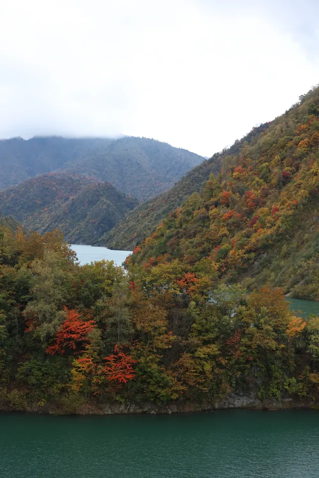 川北綿陽平武賞秋|駛入彩林畫廊 川北綿陽平武賞秋|駛入彩林畫廊